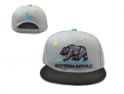 California republic snapback-49