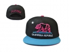 California republic snapback-52