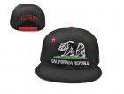 California republic snapback-54