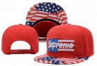 Supreme snapback-46