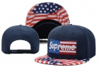 Supreme snapback-47