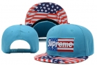 Supreme snapback-48