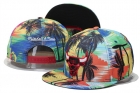 NBA BULL snapback-413