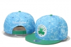 NBA Boston Celtics snapback-58