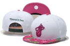 NBA Miami heats-246