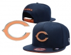 NFL Chicago Bears Snapback-48