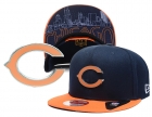 NFL Chicago Bears Snapback-49