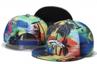 NFL Denver Broncos snapback-140