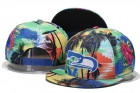 NFL Seattle Seahawks Snapback-123