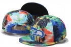 NFL Seattle Seahawks Snapback-124