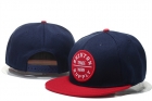 BRXIN snapback-25