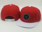 Hater Snapback-86