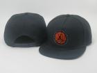 Jordan snapback-169