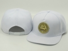 Jordan snapback-172