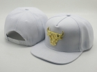 NBA BULL snapback-443