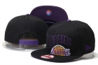 NBA Larkers Snapback-137