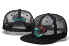 NBA memphis grizzliers snapback-27