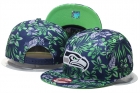 NFL Seattle Seahawks Snapback-125