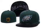 NFL fitted hats-167