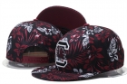 MLB Chicago Cubs snapback-09