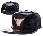 NBA BULL snapback-500