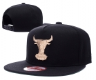 NBA BULL snapback-501