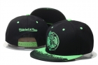 NBA Boston Celtics snapback-65