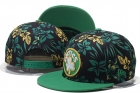NBA Boston Celtics snapback-66