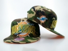 NFL Miami Dolphins snapback-68