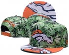 NFL Denver Broncos snapback-144