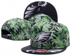 NFL Philadelphia Eagles hats-46