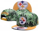 NFL Pittsburgh Steelers hats-65