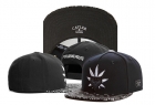 Cayler&Sons snapback-313