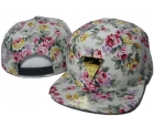 Hater Snapback-122