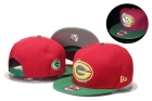 NFL Green Bay Packers snapback-37