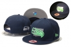 NFL Seattle Seahawks Snapback-131