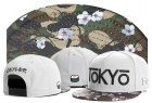 Cayler&Sons snapback-318