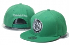 NBA Boston Celtics snapback-70