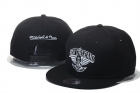 NBA Orlean Pelicans snapback-14