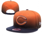 NFL Chicago Bears Snapback-52