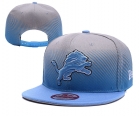 NFL Detroit Lions Snapback-35