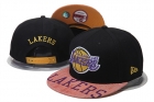 NBA Larkers Snapback-151