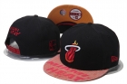 NBA Miami heats-293