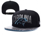 NFL Carolina Panthers hats-42