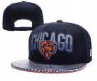 NFL Chicago Bears Snapback-53