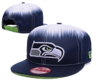 NFL Seattle Seahawks Snapback-141