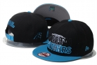 NFL Carolina Panthers hats-44