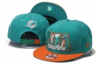 NFL Miami Dolphins snapback-74