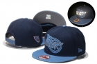 NFL Tennessee Titans snapback-20