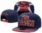 NFL Chicago Bears Snapback-56